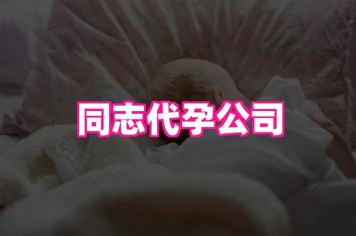 点点助孕网 1
