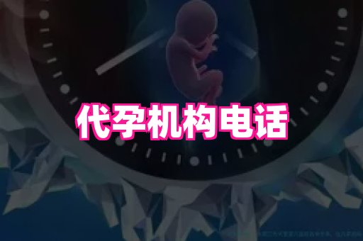 点点助孕网 3