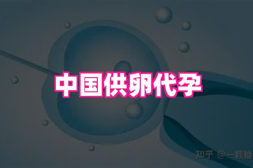 点点助孕网 4
